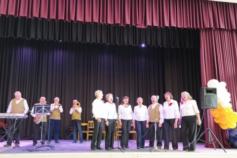 Populiariosios muzikos ansamblis Bičiuliai